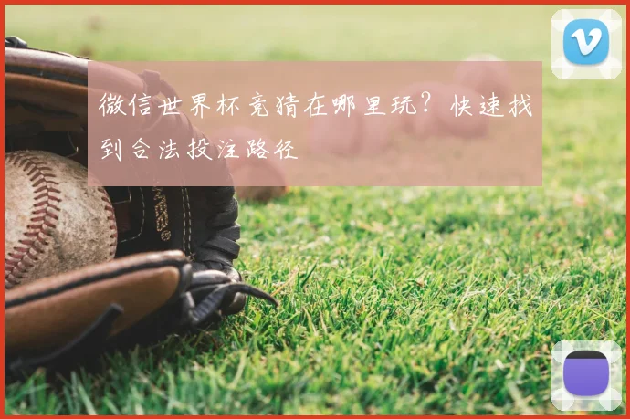 微信世界杯竞猜在哪里玩?快速找到合法投注路径