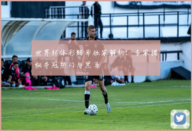 世界杯体彩赔率独家解析：专家揭秘夺冠热门与黑马