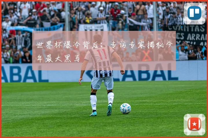 世界杯爆冷背后：专访专家揭秘今年最大黑马