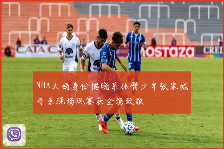 NBA大妈身份揭晓系独臂少年张家城母亲现场观赛获全场致敬