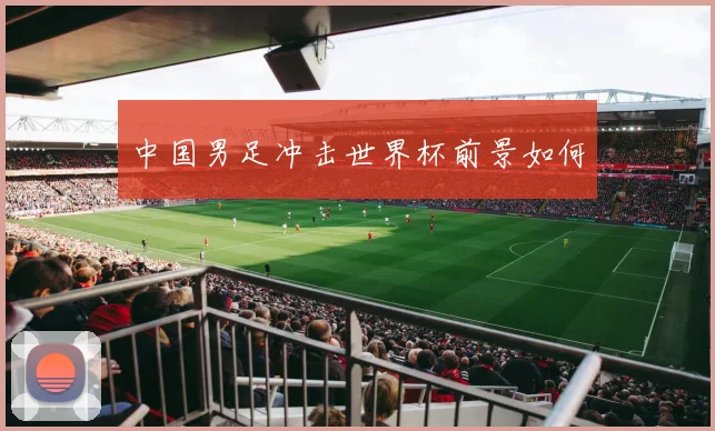 中国男足冲击世界杯前景如何