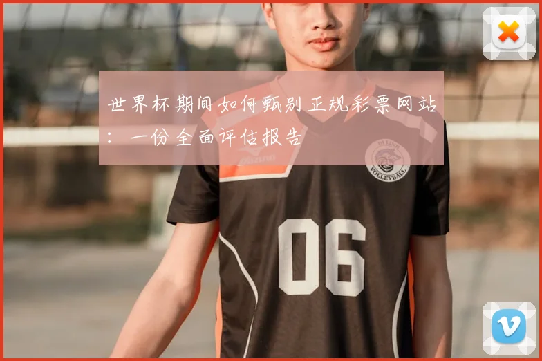世界杯期间如何甄别正规彩票网站：一份全面评估报告