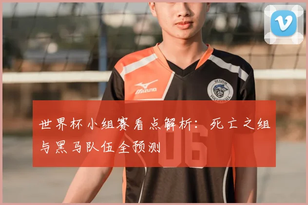 世界杯小组赛看点解析：死亡之组与黑马队伍全预测