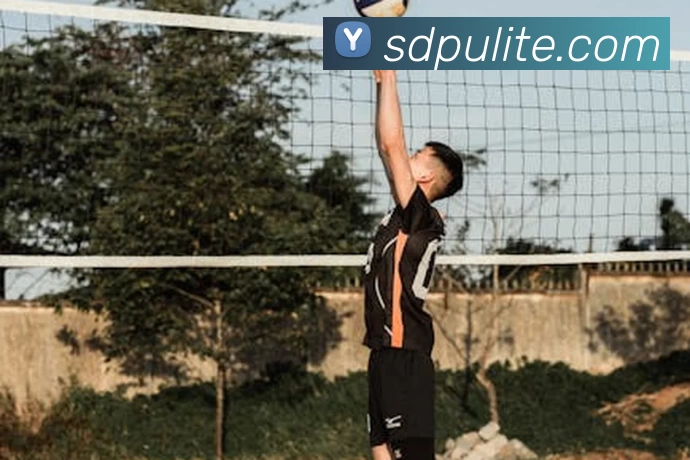 星空官网APP 封面图